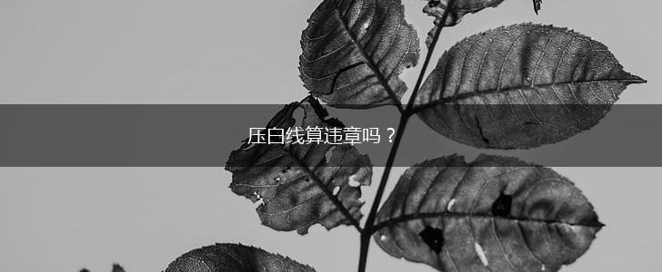 压白线算违章吗？,第1张