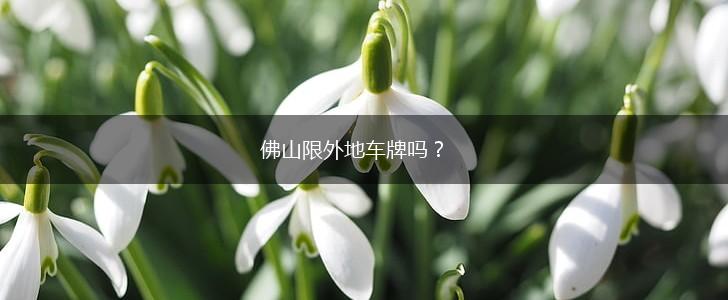 佛山限外地车牌吗？,第1张