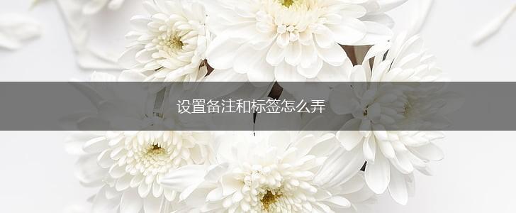 设置备注和标签怎么弄,第1张