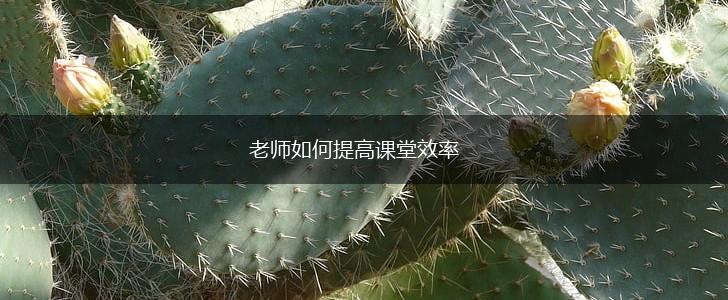老师如何提高课堂效率,第1张