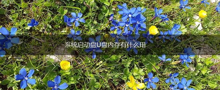 系统启动盘U盘内存有什么用,第1张