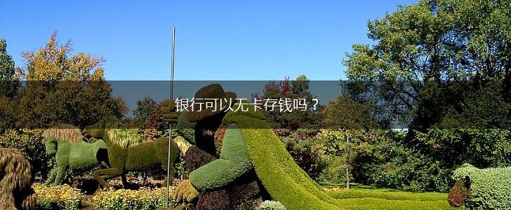 银行可以无卡存钱吗？,第1张