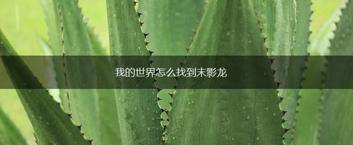 我的世界怎么找到末影龙,第1张