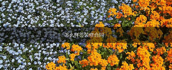 怎么样签装修合同,第1张