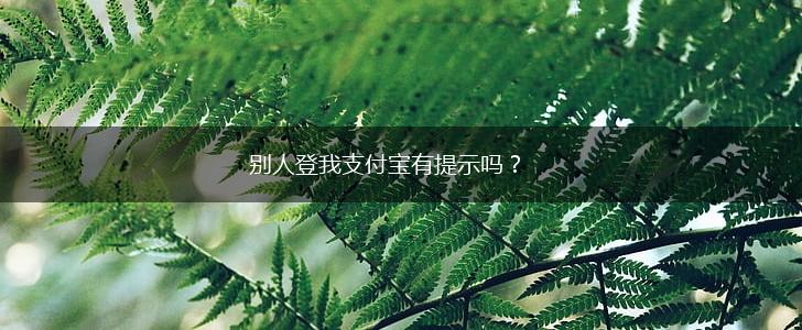 别人登我支付宝有提示吗？,第1张