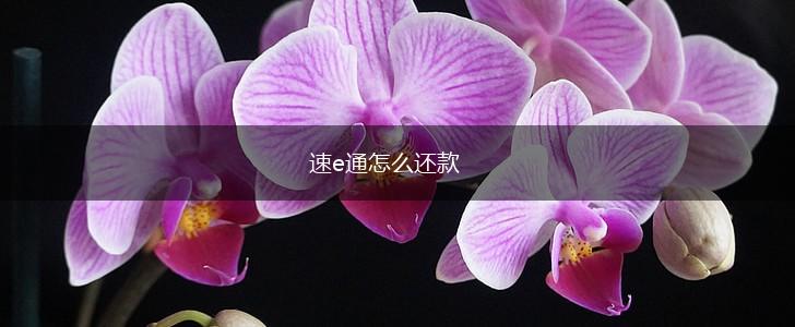 速e通怎么还款,第1张
