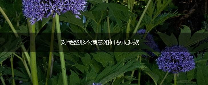对微整形不满意如何要求退款,第1张