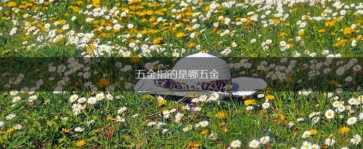 五金指的是哪五金,第1张