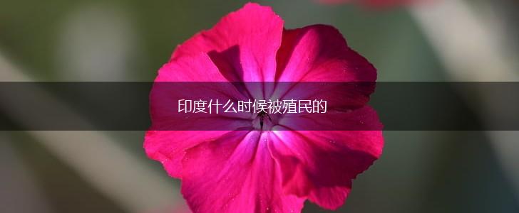 印度什么时候被殖民的,第1张