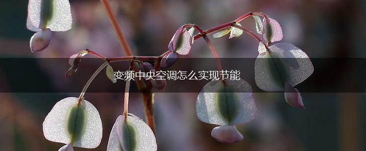 变频中央空调怎么实现节能,第1张