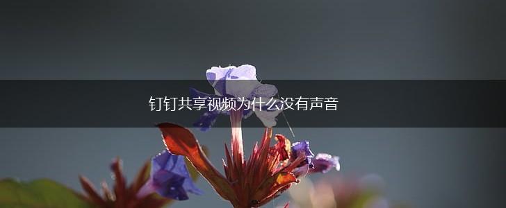 钉钉共享视频为什么没有声音,第1张