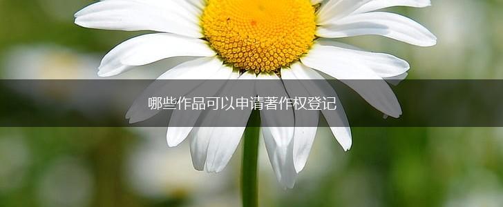 哪些作品可以申请著作权登记,第1张