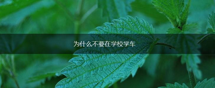 为什么不要在学校学车,第1张