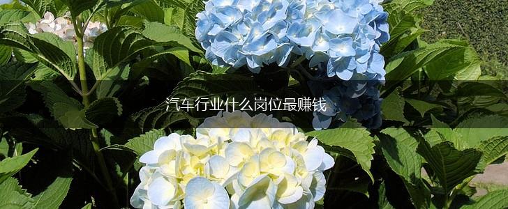 汽车行业什么岗位最赚钱,第1张