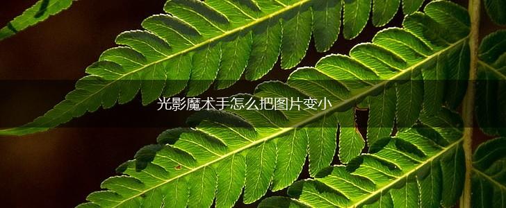 光影魔术手怎么把图片变小,第1张