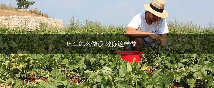 床车怎么做饭 教你这样做,第1张 床车怎么做饭 教你这样做,第1张