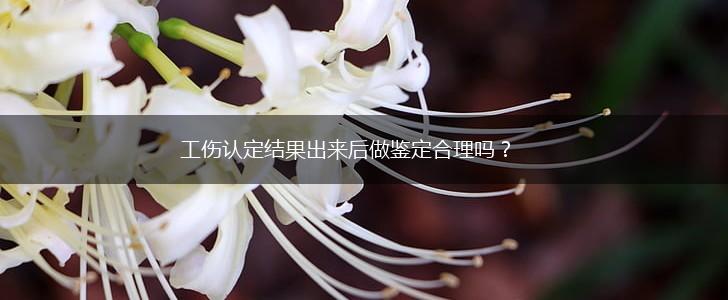 工伤认定结果出来后做鉴定合理吗？,第1张