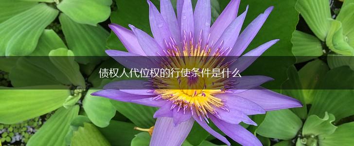 债权人代位权的行使条件是什么,第1张
