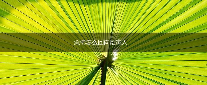 念佛怎么回向给家人,第1张