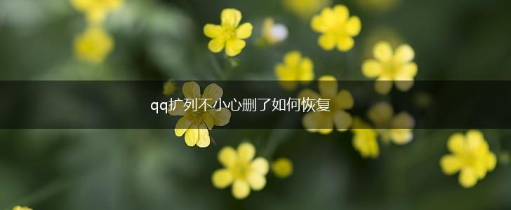 qq扩列不小心删了如何恢复,第1张