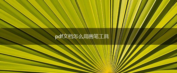 pdf文档怎么用画笔工具,第1张