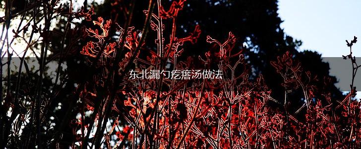 东北漏勺疙瘩汤做法,第1张
