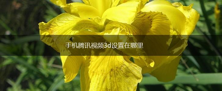 手机腾讯视频3d设置在哪里,第1张
