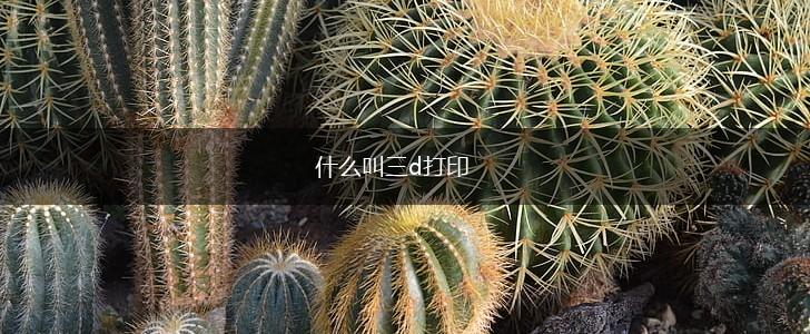 什么叫三d打印,第1张