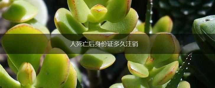 人死亡后身份证多久注销,第1张