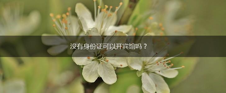 没有身份证可以开宾馆吗？,第1张