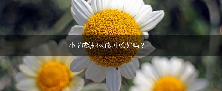 小学成绩不好初中会好吗？,第1张