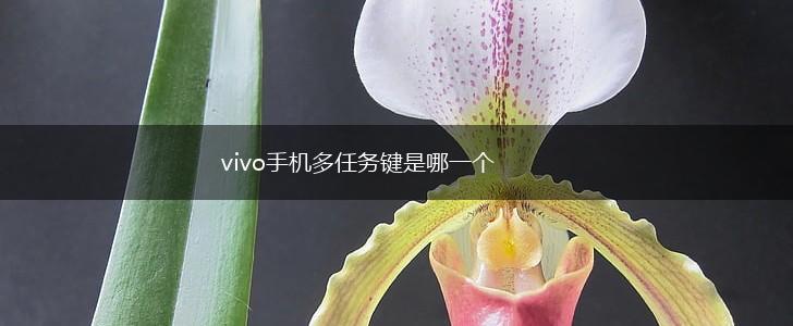 vivo手机多任务键是哪一个,第1张