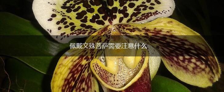 佩戴文殊菩萨需要注意什么,第1张