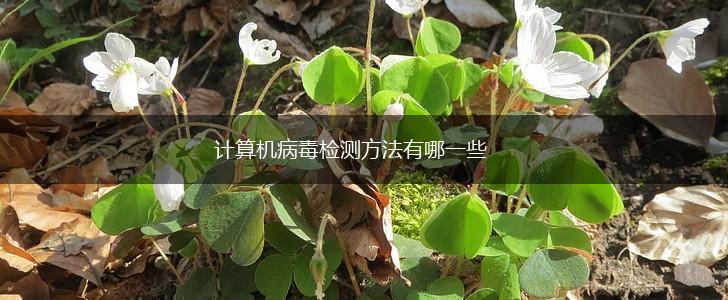 计算机病毒检测方法有哪一些,第1张