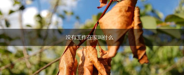 没有工作在家叫什么,第1张
