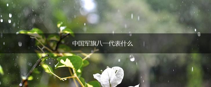 中国军旗八一代表什么,第1张 中国军旗八一代表什么,第1张