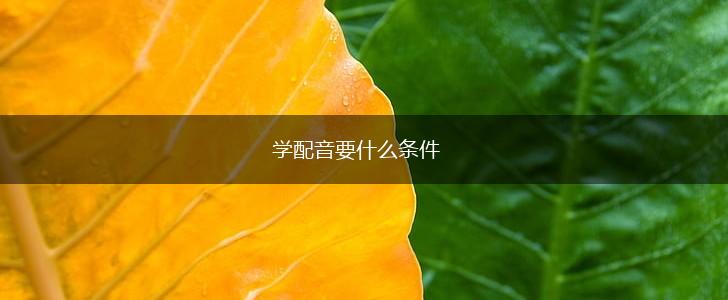 学配音要什么条件,第1张