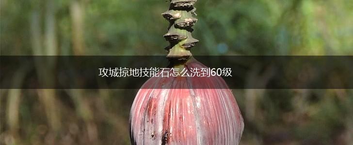 攻城掠地技能石怎么洗到60级,第1张 攻城掠地技能石怎么洗到60级,第1张