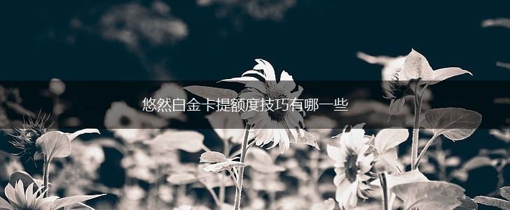 悠然白金卡提额度技巧有哪一些,第1张