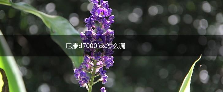 尼康d7000ios怎么调,第1张