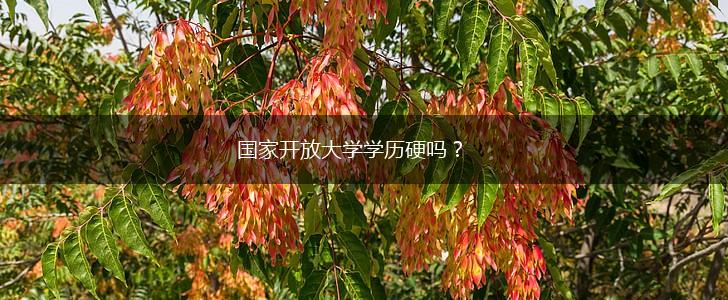 国家开放大学学历硬吗？,第1张