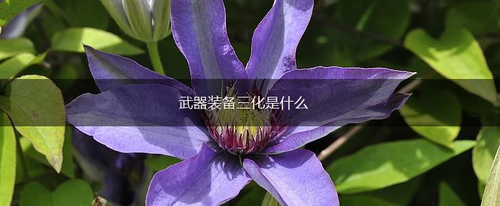武器装备三化是什么,第1张