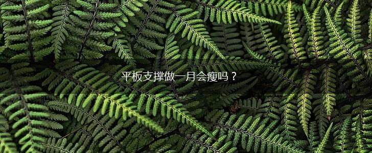 平板支撑做一月会瘦吗？,第1张
