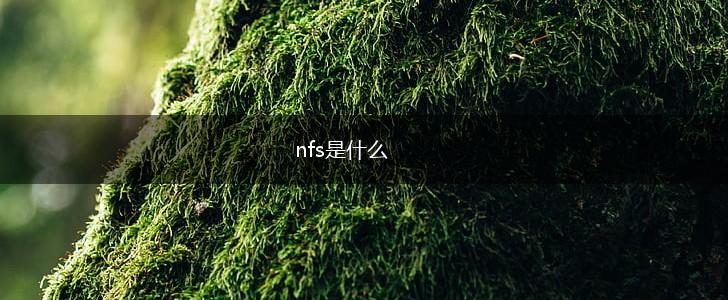 nfs是什么,第1张