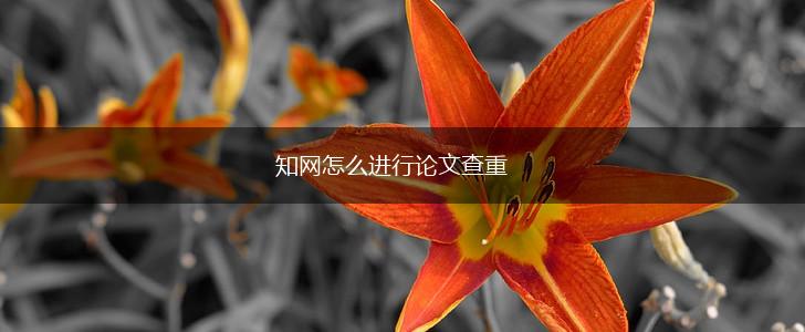 知网怎么进行论文查重,第1张