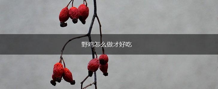 野鸡怎么做才好吃,第1张