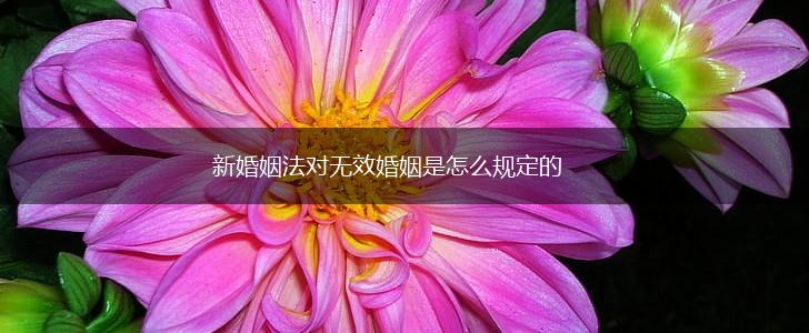 新婚姻法对无效婚姻是怎么规定的,第1张