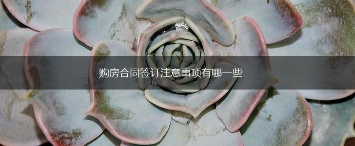 购房合同签订注意事项有哪一些,第1张 购房合同签订注意事项有哪一些,第1张