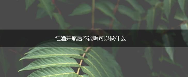 红酒开瓶后不能喝可以做什么,第1张