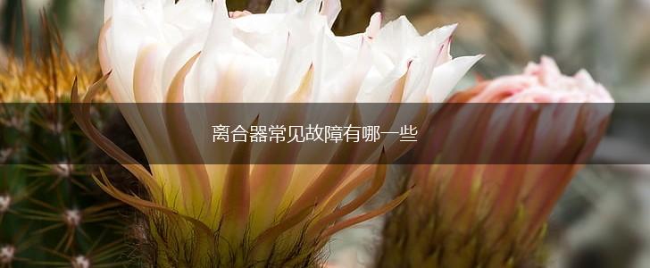 离合器常见故障有哪一些,第1张